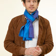 Load image into Gallery viewer, Petit foulard Bicolore en soie bleu klein