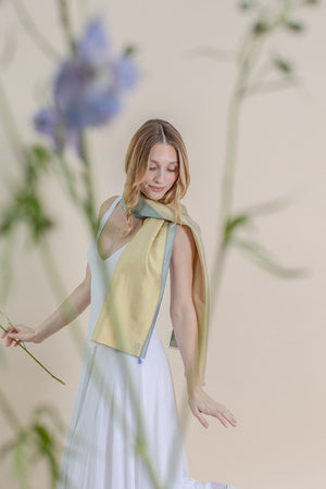 Petit foulard Bicolore en soie céladon