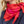 Carré 70 Dublin rouge en soie cachemire femme