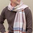 Charger l'image dans la galerie, Echarpe Cambridge nude en soie laine homme
