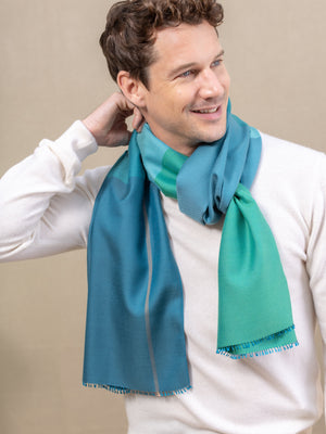 Echarpe Colorblock en soie laine Emeraude homme