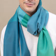 Load image into Gallery viewer, Echarpe Colorblock Emeraude en soie laine homme
