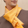 Charger l'image dans la galerie, Petit foulard Twin en soie miel homme
