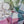 Carre Pastel nude et sauge en soie cachemire femme