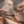 Load image into Gallery viewer, Etole Brume en soie cachemire camel
