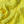 Petit foulard Uni en soie jaune canari femme