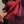 Vasarelli 95 silk and cashmere square in burgundy