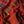 Charger l&#39;image dans la galerie, Echarpe Basile en soie laine paprika
