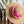 Charger l&#39;image dans la galerie, Foulard Filo en soie rose
