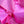 Charger l&#39;image dans la galerie, Foulard Mini Pointillé en soie rose
