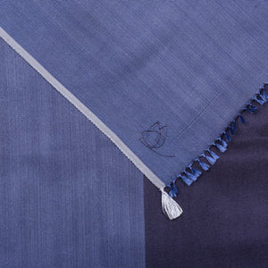 Petit foulard Bicolore en soie marine