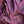 Charger l&#39;image dans la galerie, Foulard Quadrille en soie coton burgundy
