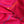 Echarpe bicolore en soie laine rose, rouge